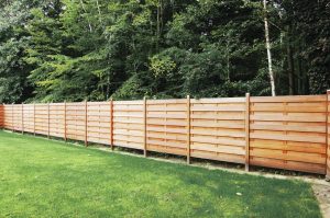 Picture of Wood Fencing 